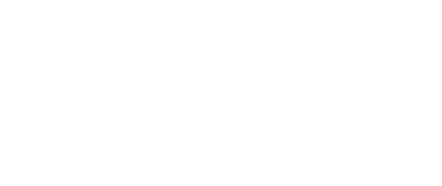 1fs Wealth