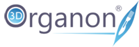 3d Organon Anatomy