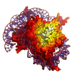 3d Protein Imaging