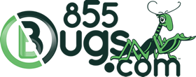 855bugs