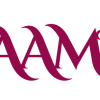 Aamika