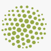Aatma Capital