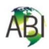 Allied Business International