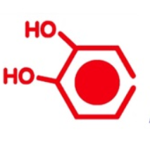 Acatechol