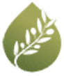 Aceite Del Campo