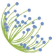 Acmena