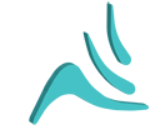 Advanced Language Institute