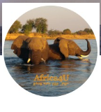 Africa4u