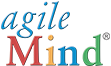 Agile Mind