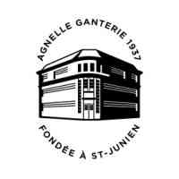 Agnelle