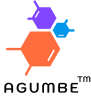 Agumbe