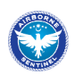 Airborne Sentinel