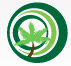 Ajwa Projects