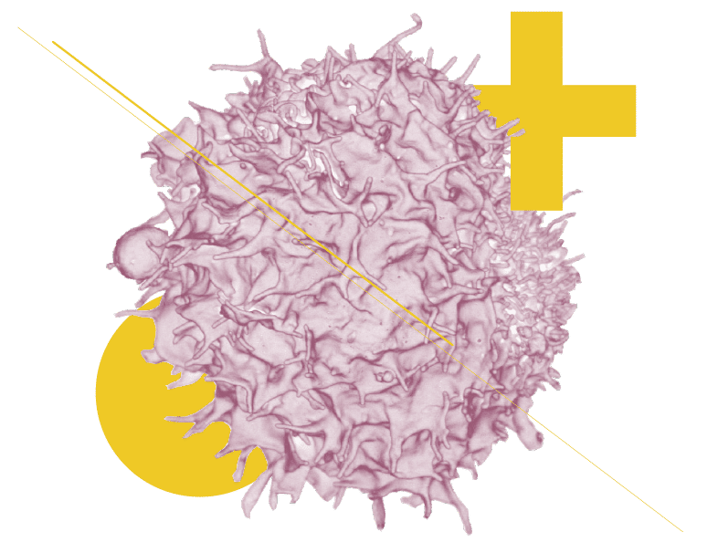 Alcea Therapeutics