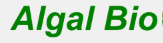 Algal Bio