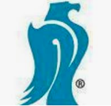 Allan International Holdings