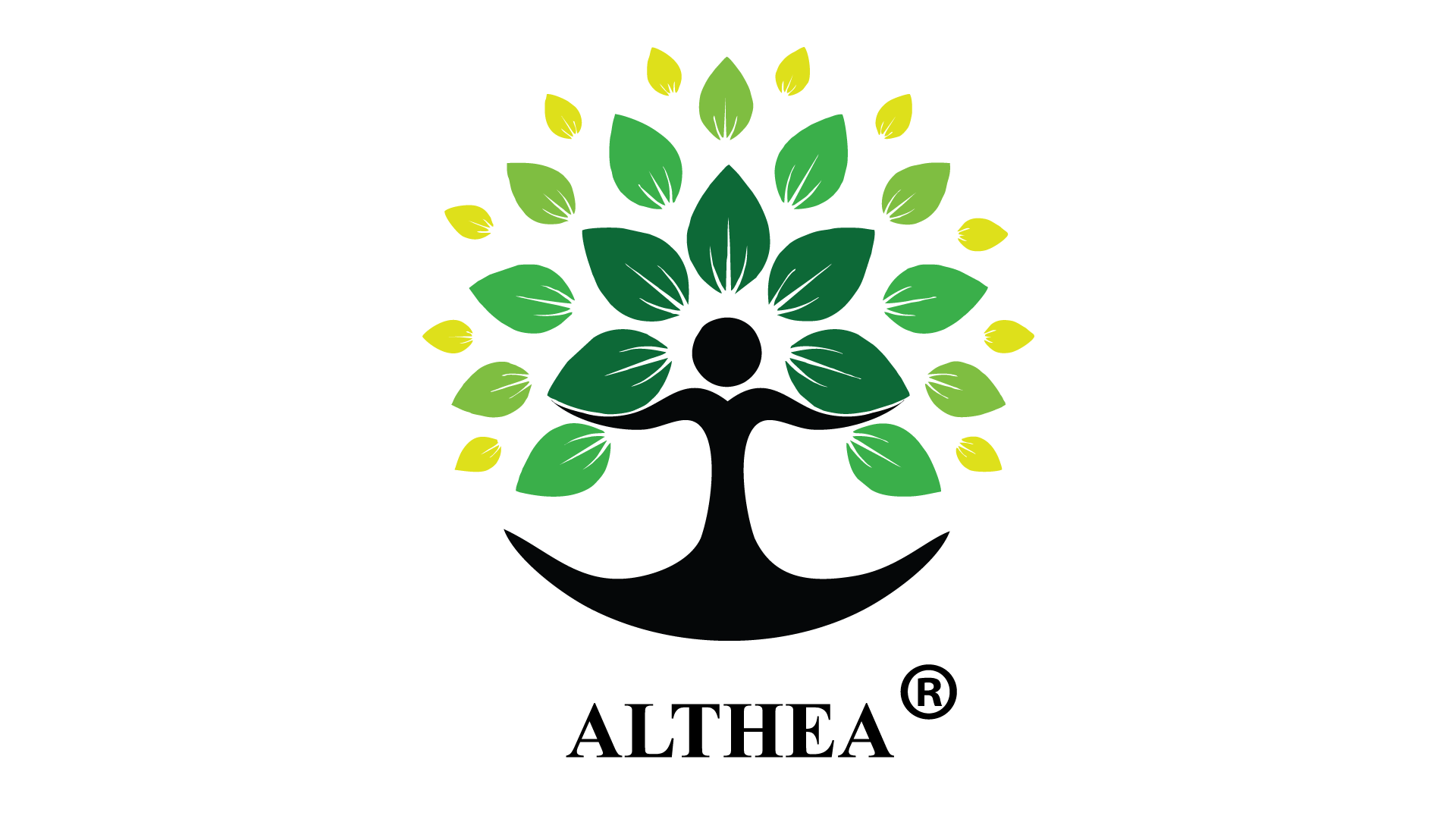 Althea Drf Lifesciences