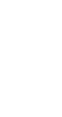 Altmoisa