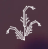 Amaranth Insights