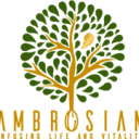 Ambrosian Resources
