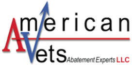 American Vets