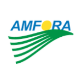 Amfora