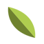 Amius