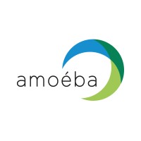Amoeba