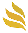 Ams Capital Management