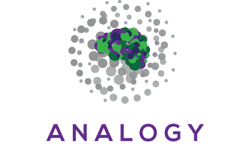Analogy Co.