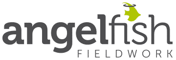 Angelfish Fieldwork