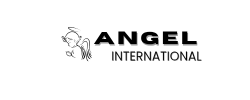 Angel International