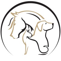 Animal Imaging