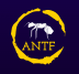 Antf