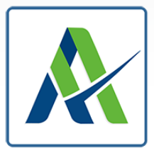 Anyaudit