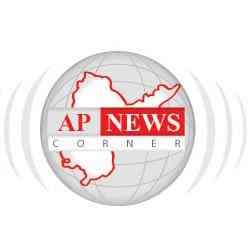 Apnewscorner
