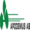Apodemus