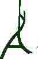 Arterra Bioscience