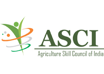 Asci-india