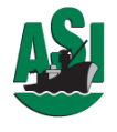 Ambassador Services International