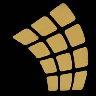 Asp Access Floors