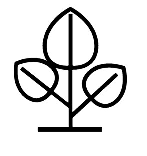 Aspire Daly