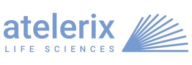 Atelerix