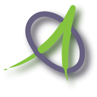 Auditor Training Online