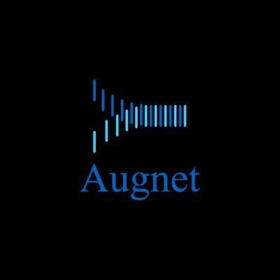 Augnet