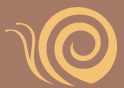 Auric Cosmo