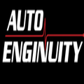 Autoenginuity