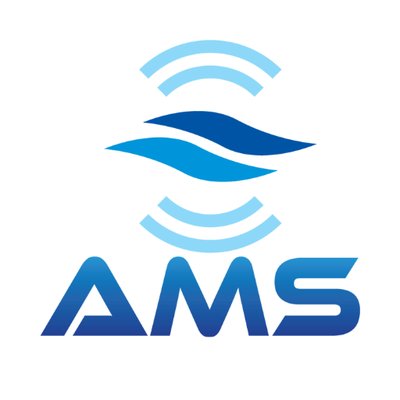 Autonomous Marine Systems
