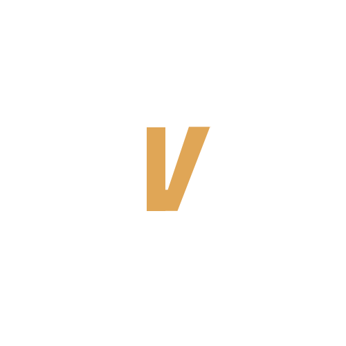 Auto Vip Buss