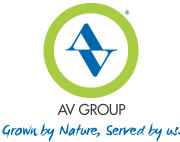 Av Group